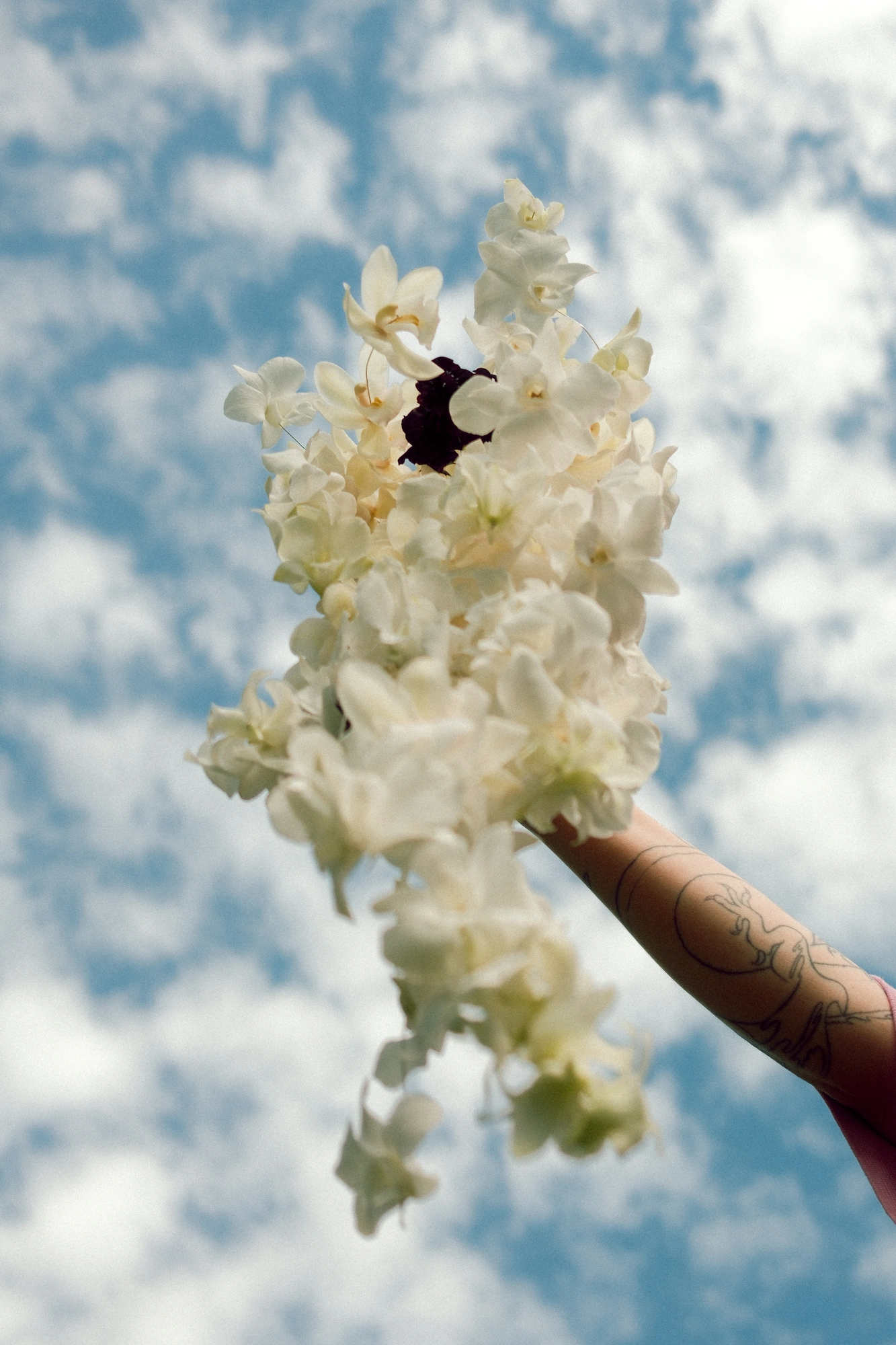 White orchid bridal bouquet full length