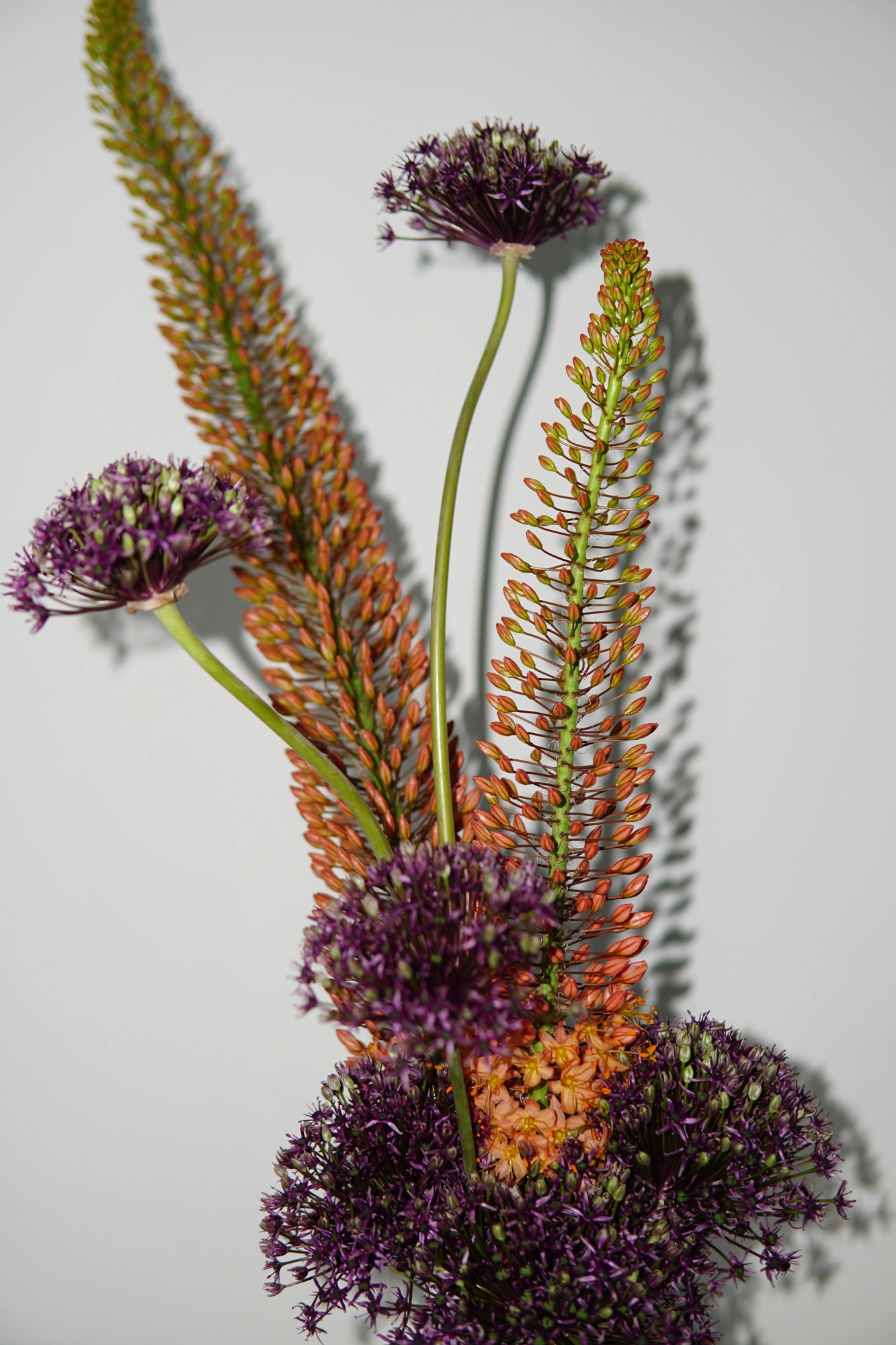 Detail of flowers against a wavy printed vase